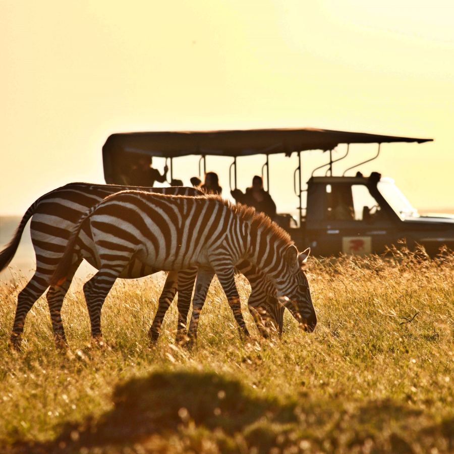 Explore Tanzania Serengeti Safari