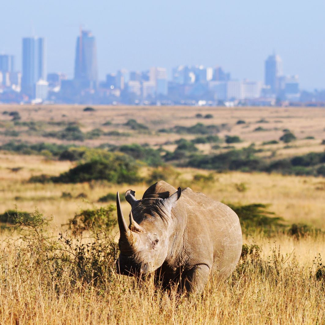 African Landmark Safaris