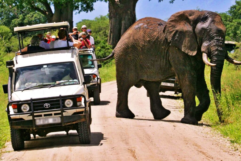 african safaris kenya tanzania