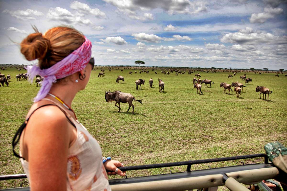 Serengeti Game Reserve, masai mara flying safari, Masai Mara Safari