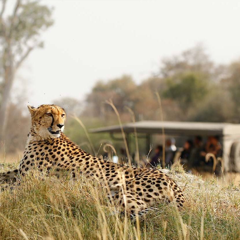 Taste of Tanzania Safari