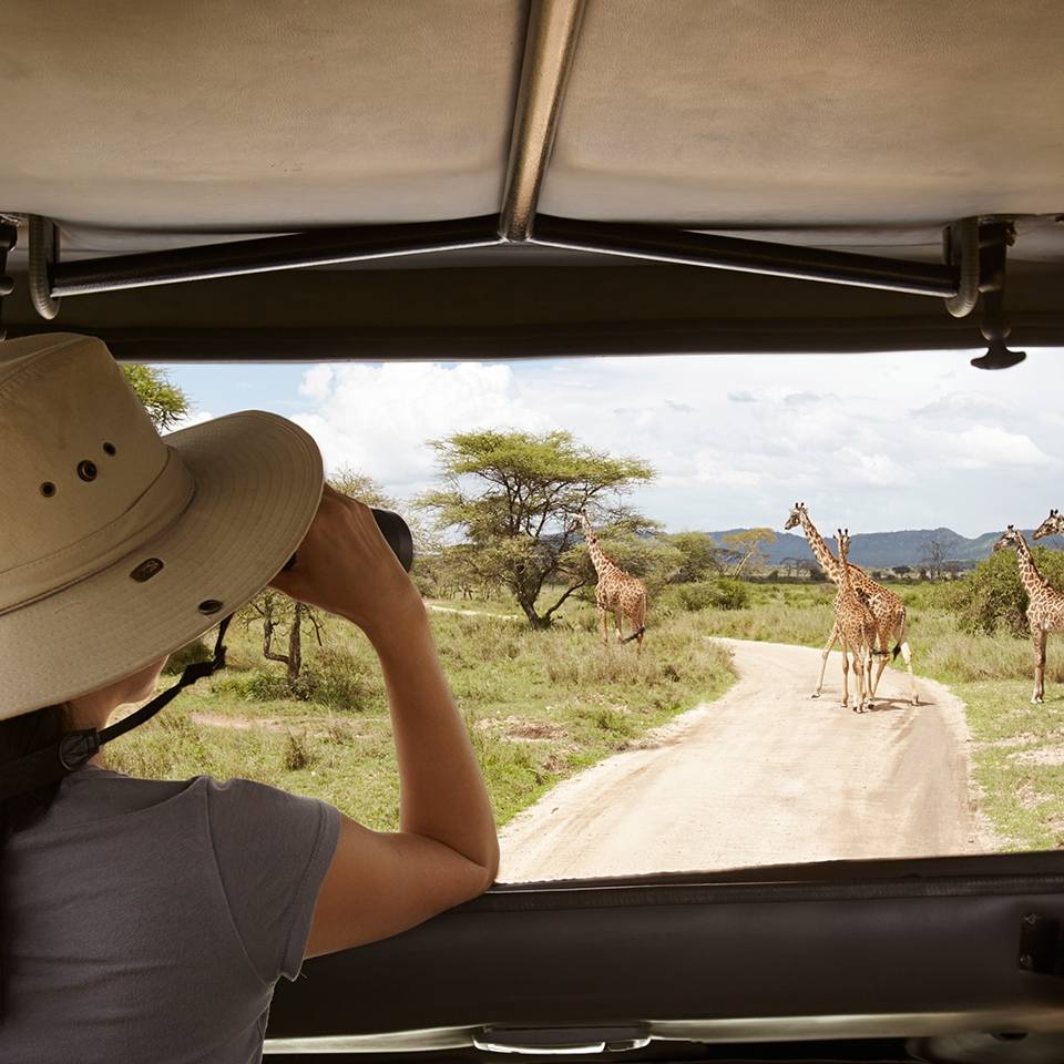 11 Day Kenya Photography Safari: Capturing the Wild – African Landmark ...
