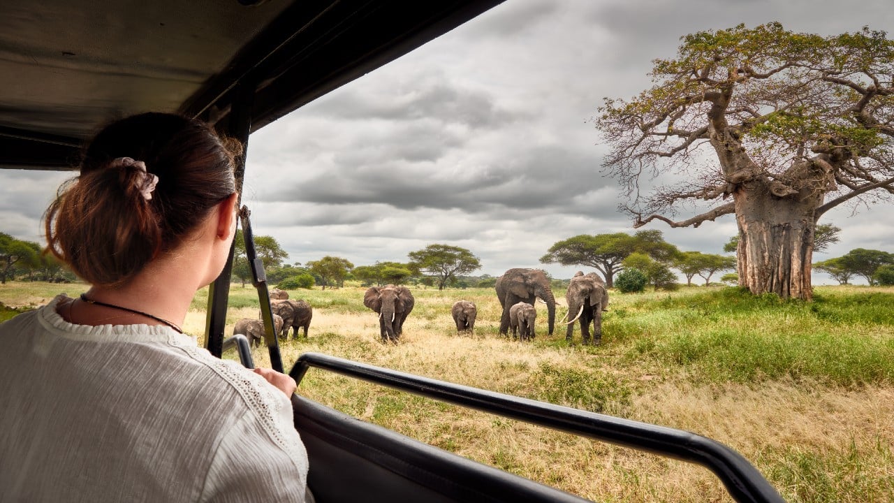 Pricing-Determinants-of-African-Safari-Tours